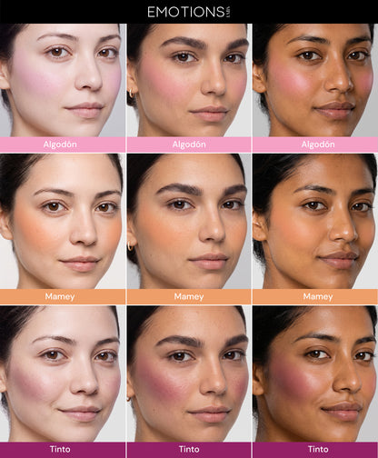 PROTECTOR SOLAR CON BLUSH (RUBOR) 8G